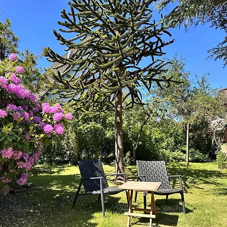 Sky & Homes Ohana Spirit I Grosszuegige Mit Kamin & Terrasse *